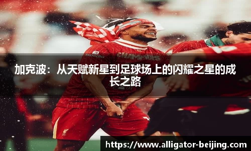 加克波：从天赋新星到足球场上的闪耀之星的成长之路