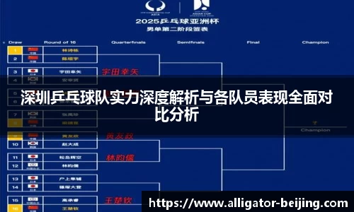 深圳乒乓球队实力深度解析与各队员表现全面对比分析